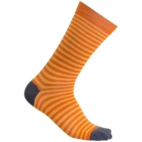 Icebreaker Lifestyle Fine Gauge Crew Stripe Herren Socken kaufen