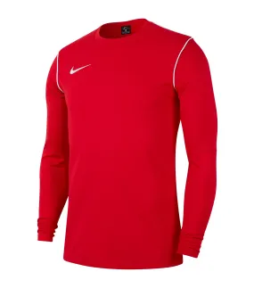 NIKE Park 20 Crew Top langarm Kinder (657)