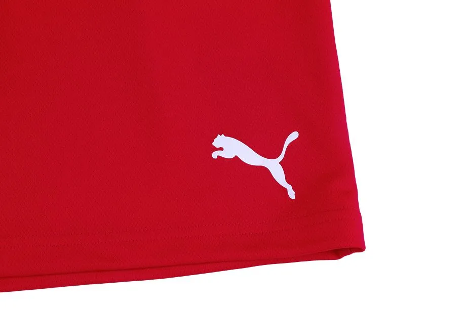 PUMA Sport-Set T-shirt Kurze Hose teamRISE Jersey 704932 01/704942 01